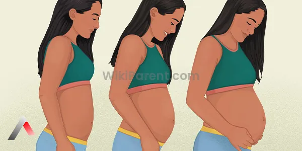Hamileliğin 6. Haftasında Neler Oluyor? Bebek ve Anne İçin Beklentiler