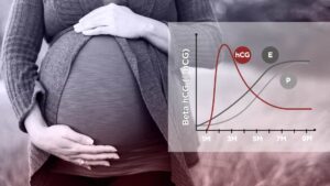Beta HCG Nedir?